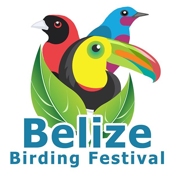 Belize Birding Festival