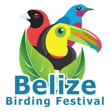 Belize Birding Festival